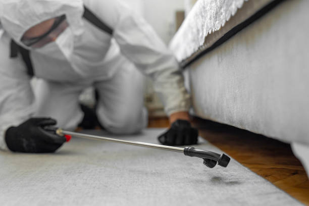 Professional Termite Control technician working in Porterdale, GA