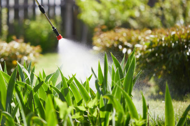 24/7 Emergency Termite Control experts in Porterdale, GA